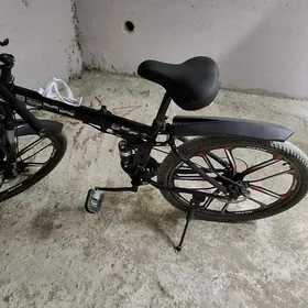 BMW tigir