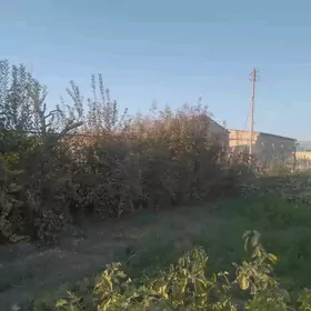 Айрапорт дача