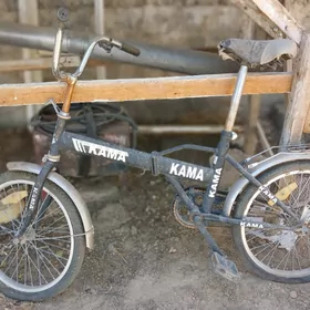 kama tigir