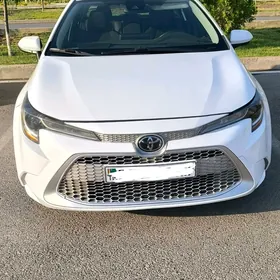 Toyota Corolla 2021