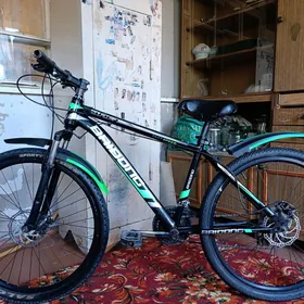 SPORT TIGIR [26]
