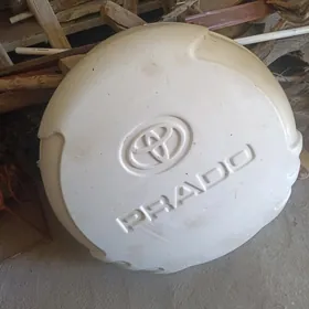 zapaska daş prada