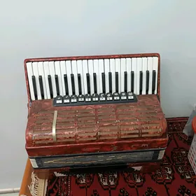 Akardeon