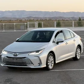 Toyota Corolla 2023