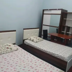 arenada jaý hozýaýkaly