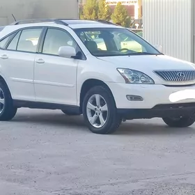 Lexus RX 330 2004