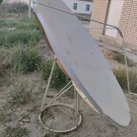 Antena uly