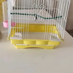 клетка