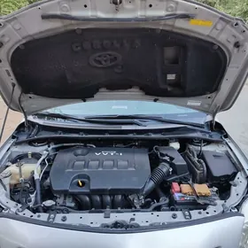 Toyota Corolla 2010