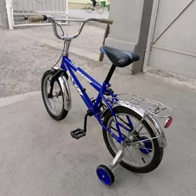 tigir 16 lyk
