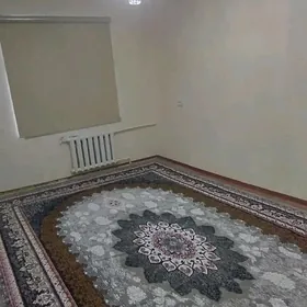 arenda  3 komnat