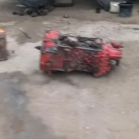 ZF karopga