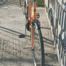 Tigir yaposka