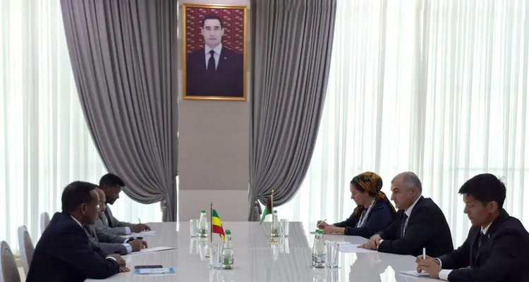 Туркменистан и Эфиопия обсудили сотрудничество в транспортной сфере