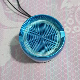 kolonka