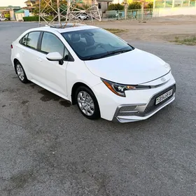 Toyota Corolla 2020