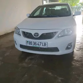 Toyota Corolla 2010