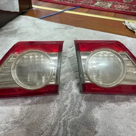 carolla fara