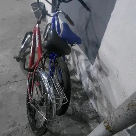 tigir bravery