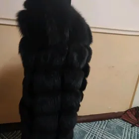 Şuba