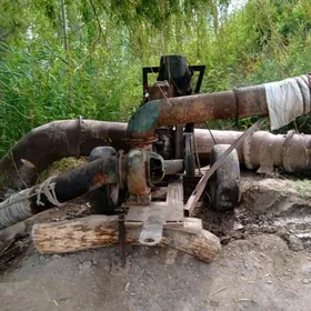 Nasos 200