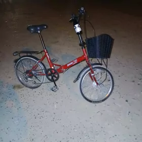 tigir 20 lik