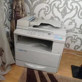 taze printer