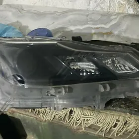 haliji carolla fara 2021