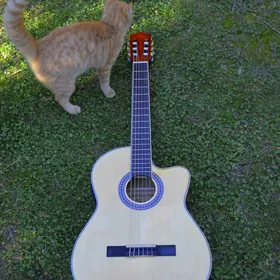 TAYSTE GITARA