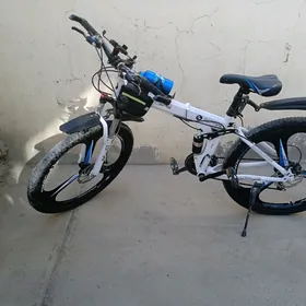 bmw tigir