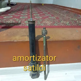 vectra b şaylar