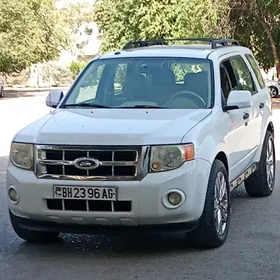 Ford Escape 2010