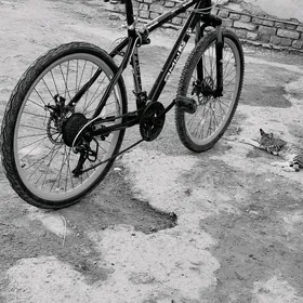BMW Welosiped