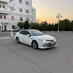Toyota Camry 2019