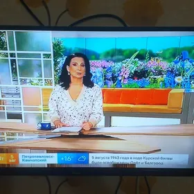 Телевизор плазма