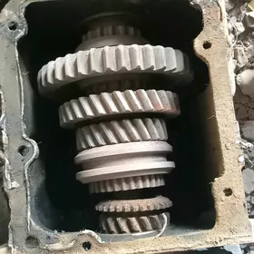 Karopga