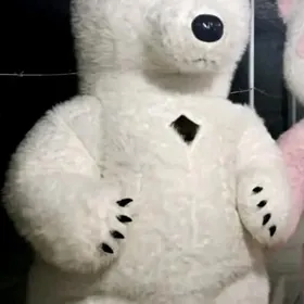 Ak aýy