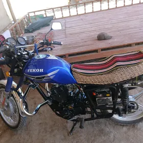 Fekon FK150-8G 2025