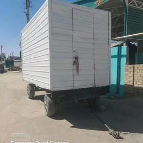 satlyk toy haladilnik sowadyjy