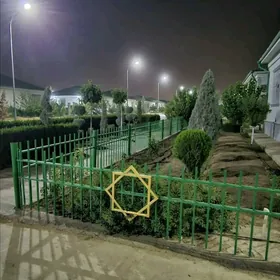 Taze Zaman