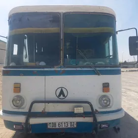 ПАЗ 3203 1991