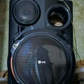 LG Sentr