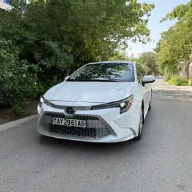 Toyota Corolla 2023