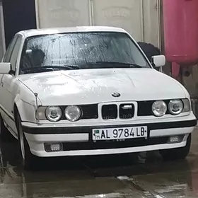 BMW 525 1991