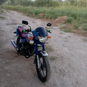 Fekon FK150-8G 2025