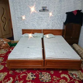 spalny