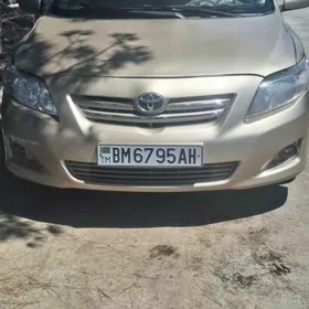 Toyota Corolla 2010