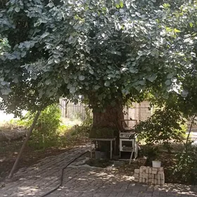 сатлык план жай теке базар