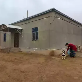 Satlyk jaý