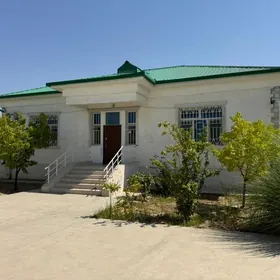 Taze zaman